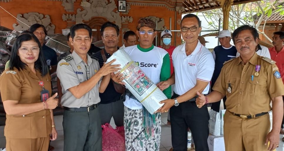 podiumnews.com-Badung Mulai Kembangkan Bawang Merah